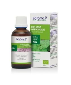 Lemon Balm - fresh organic plant extract